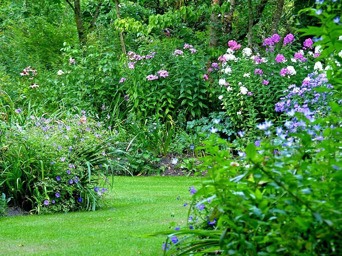 Cottage de la Barre - Les Lilas Conflans-sur-Anille 0*,  France