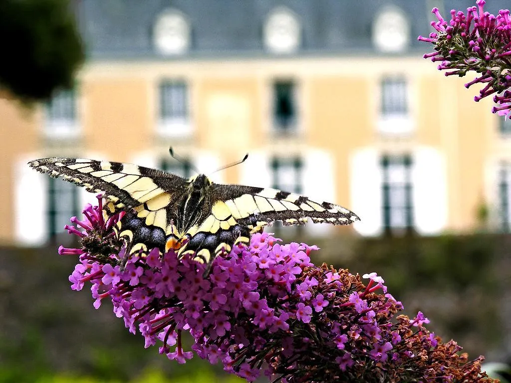 Cottage de la Barre - Les Lilas Conflans-sur-Anille